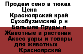 Продам сено в тюках › Цена ­ 1 200 - Красноярский край, Сухобузимский р-н, Большие Пруды п. Животные и растения » Аксесcуары и товары для животных   . Красноярский край